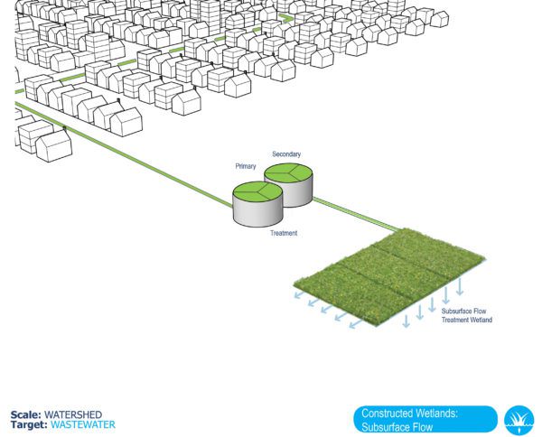 Green Infrastructure Plan Offshoots