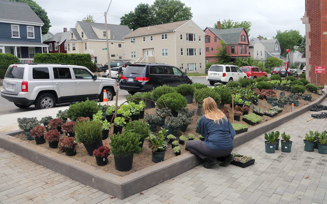 Succulent Beds Planted at Volvo