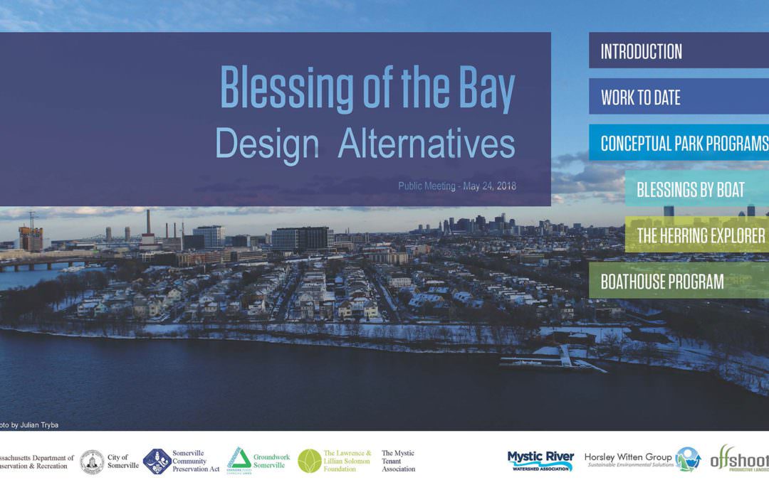 Vote on Blessing of the Bay Designs!
