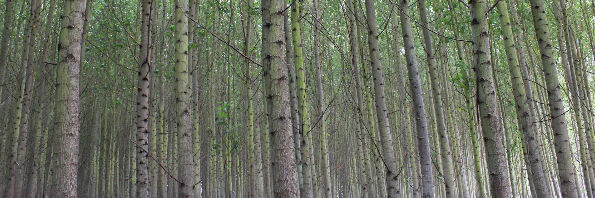 waste-management-wisconsin-offshoots