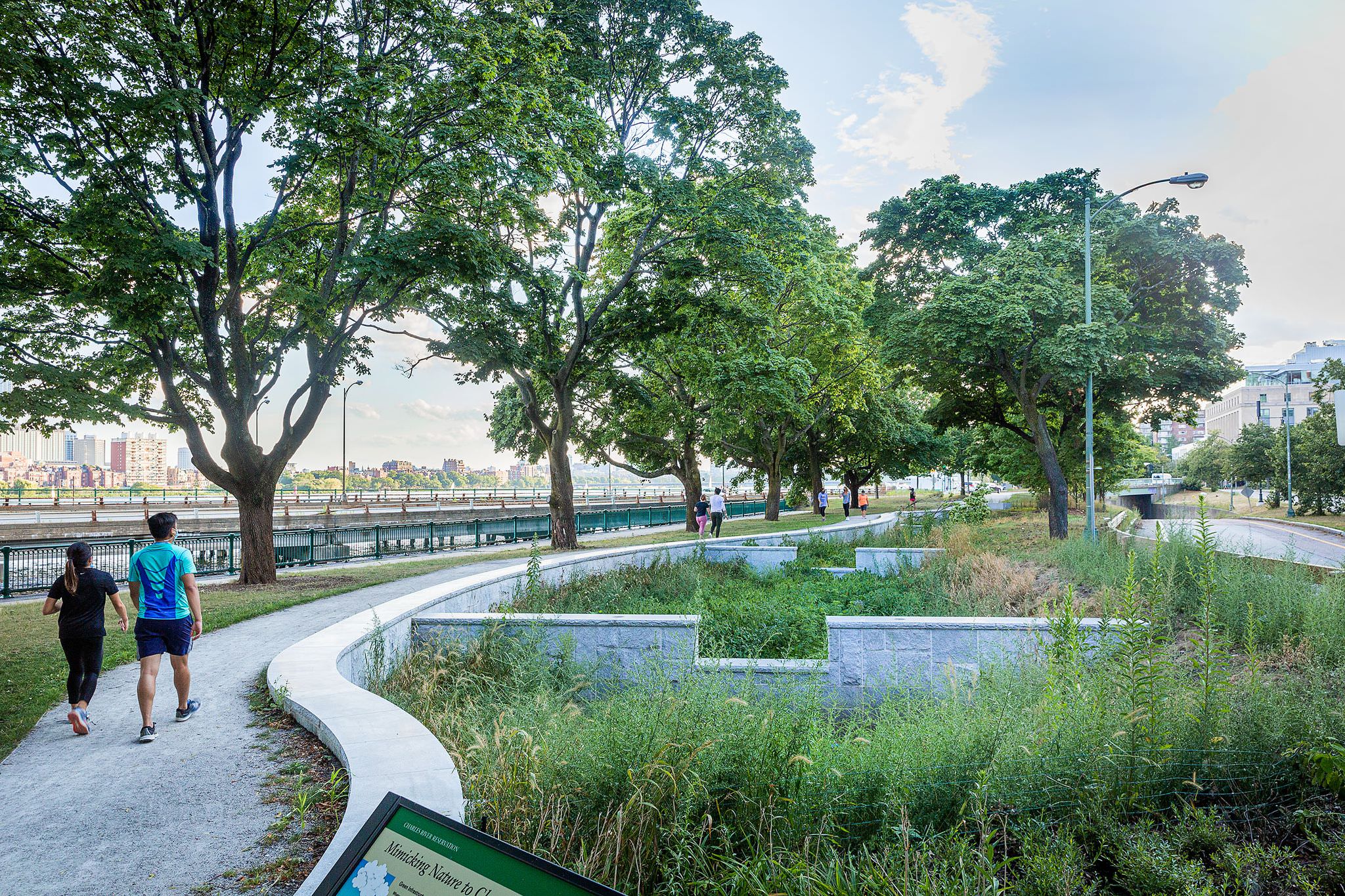 Longfellow Bridge Wetland - Offshoots